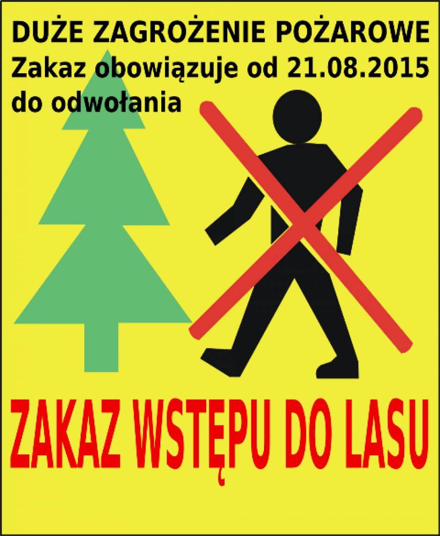 Od dzisiaj obowiązuje zakaz wstępu do lasu!