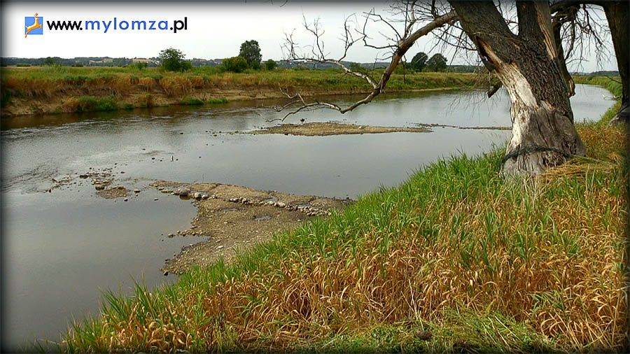Sprawdź, jakie ciekawostki skrywała przez lata rzeka Narew! [VIDEO]