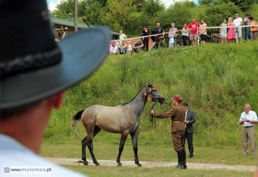 Wystawa Klaczy Hodowlanych ze źrebiętami