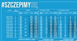Kolejny etap Narodowego Programu Szczepień: Od 15 stycznia możemy zgłosić chęć szczepienia