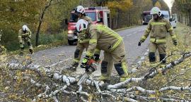 Silny wiatr daje już o sobie znać… [FOTO]