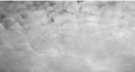 Pogoda na weekend