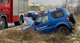 Suzuki wypadło z drogi [FOTO]