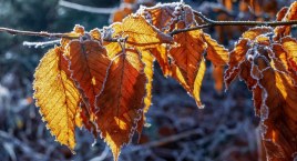 Wraca jesienna pogoda. Prognoza na nowy tydzień