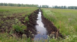 Jutro rolnicy zaprotestują? Chodzi o ponad 14 tysięcy hektarów łąk w okolicy Wizny!