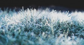 Powrót zimy? Prognoza pogody na nowy tydzień