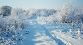Zimny tydzień w Łomży. Odczuwalna temperatura wyniesie nawet do minus 22 stopni 
