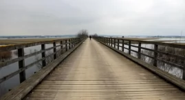 Most w Bronowie po raz kolejny stał się planem filmowym