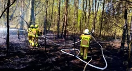 Pożar lasu koło Łomży. Synoptycy ostrzegają [FOTO]
