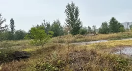 Komornik sprzedaje atrakcyjne działki w Łomży [FOTO]