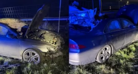 Samochód zderzył się z łosiem. Dwie osoby w szpitalu!