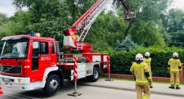 Połamane drzewa i zerwana obróbka dachu. Krajobraz p&hellip;