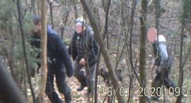 Złapali kłusowników spod Łomży! Mamy zdjęcia i nagranie [FOTO i VIDEO]