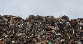 Martwy noworodek znaleziony na wysypisku śmieci w Czerwonym Borze