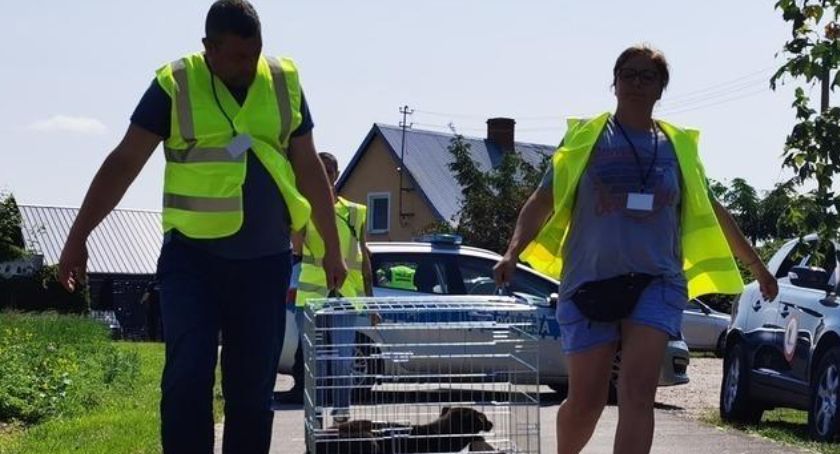 Zbiórka na pomoc dla zwierząt odebranych ze schroniska w Radysach