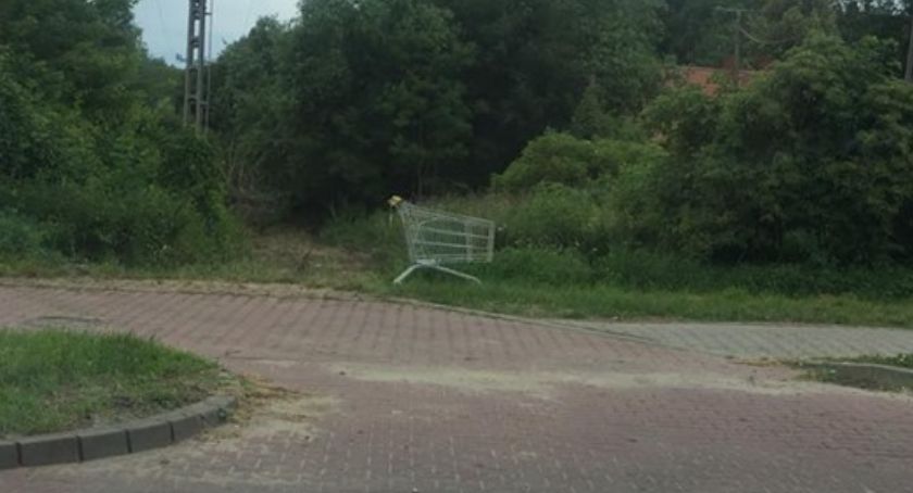 Czyżby zakupy się nie udały?