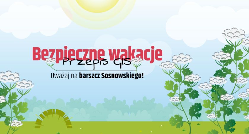 Bezpieczne Wakacje – Przepis GIS: uważaj na barszcz Sosnowskiego!