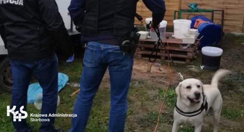 Amar i Dolar wspierają Policję w walce z narkotykami