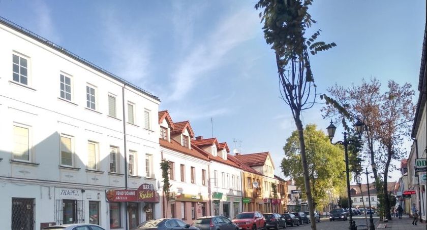 Sadzą drzewa na ul. Świętojańskiej i Rynek