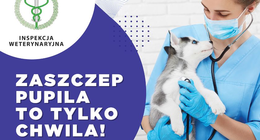 Zaszczep pupila, to tylko chwila!