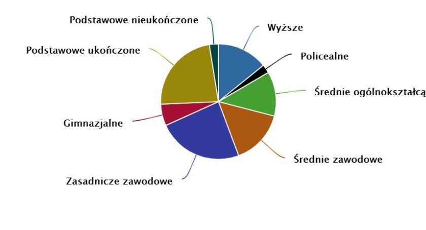 Mieszkańcy gminy Pułtusk w statystykach