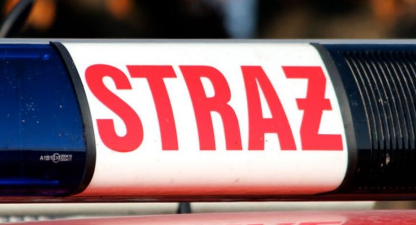 Zderzenie samochodu osobowego z ciężarowym w Lipie