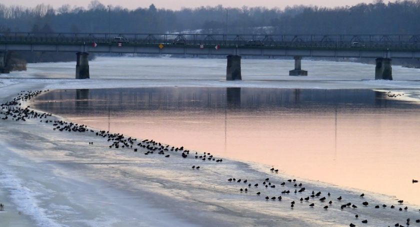 U sąsiadów pogotowie przeciwpowodziowe, na Narwi spokojnie
