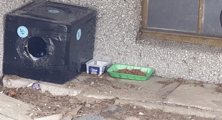 Jedna z kocich budek wróciła na miejsce