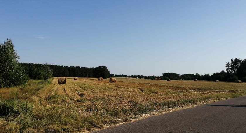 Problemy życia kulturalnego wsi podpułtuskiej na przykładzie Borsuk 