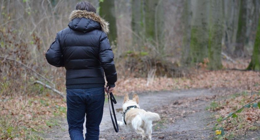 Od soboty nowe stawki mandatów – kogo będą dotyczyć?
