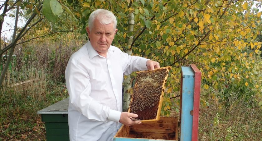 Pszczoły są mądrzejsze od nas, ludzi