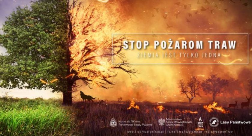 STOP pożarom traw!