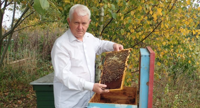 Pszczoły są mądrzejsze od nas, ludzi