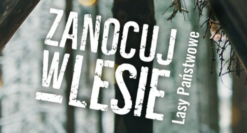 „Zanocuj w lesie” - pilotażowy program Lasów Państwowych