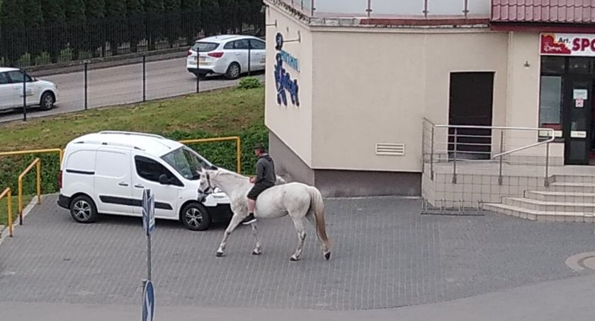 Konno po bułki?