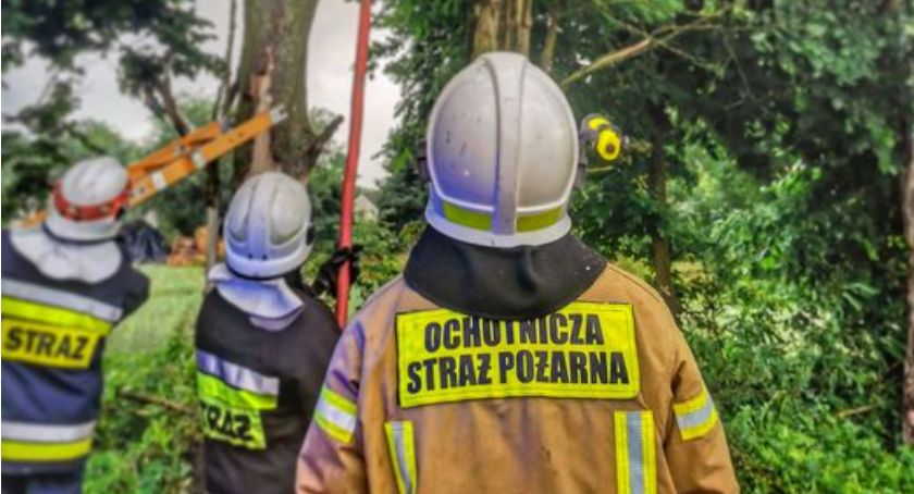Strażacy usunęli skutki wczorajszego wiatru
