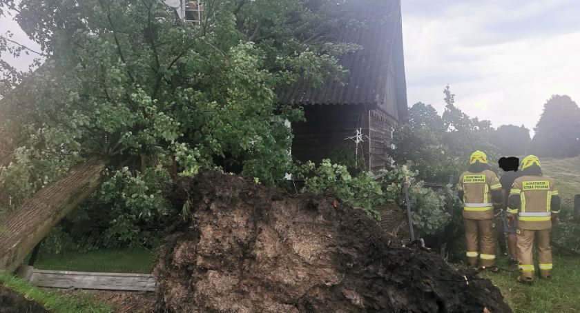Zniszczony dom, wyrwane konary, zerwana linia energetyczna – liczne straty po wczorajszej burzy