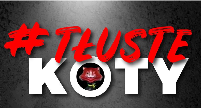 Rozczarowujący raport o „tłustych kotach”
