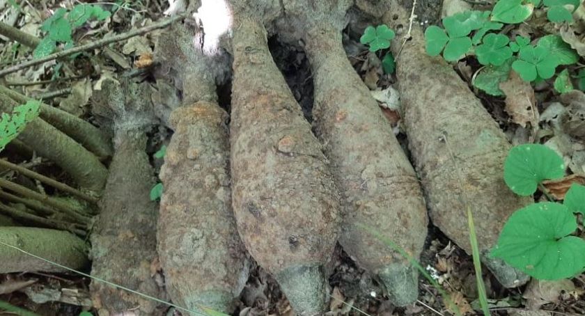 Niewybuchy znalezione podczas grzybobrania 