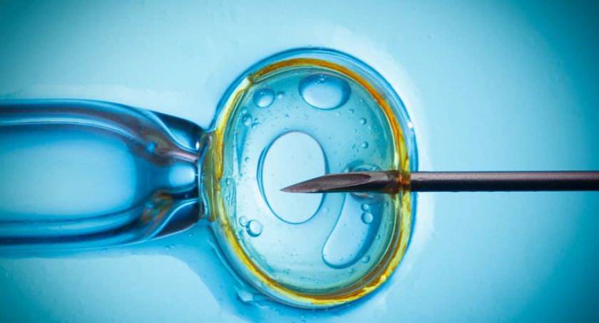 163 dzieci urodziło się dzięki programowi in vitro na Mazowszu