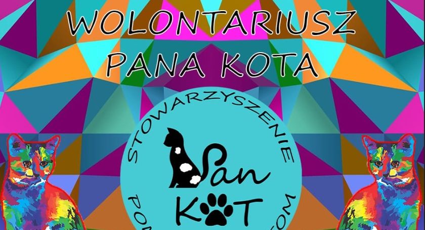 Stowarzyszenie PAN KOT poszukuje wolontariuszy