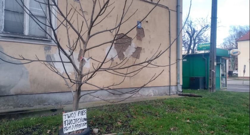Twój pies, twoje g... - niecodzienna zachęta do utrzymywania czystości