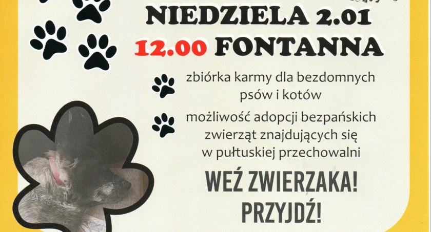 Weź zwierzaka i przyjdź – akcja pułtuskich Miłośników Zwierząt