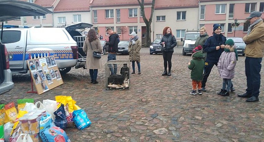 Dwa zaadoptowane pieski i dużo karmy – udana akcja pułtuskich miłośników zwierząt.