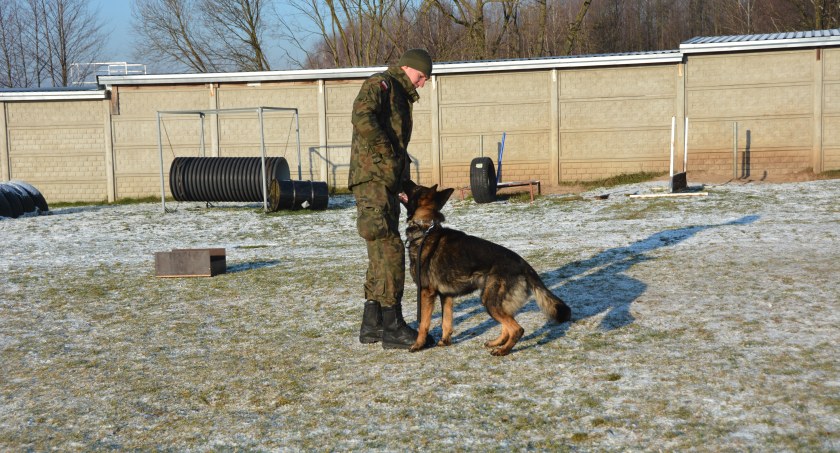 5 Mazowiecka Brygada Obrony Terytorialnej rozpoczyna program „GPR K9 WOT”