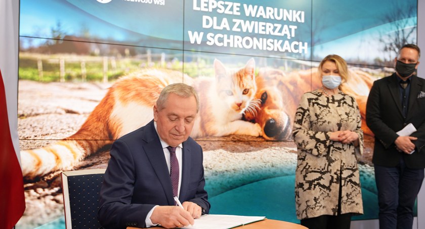 Lepsze warunki dla zwierząt w schroniskach – rozporządzenie MRiRW podpisane
