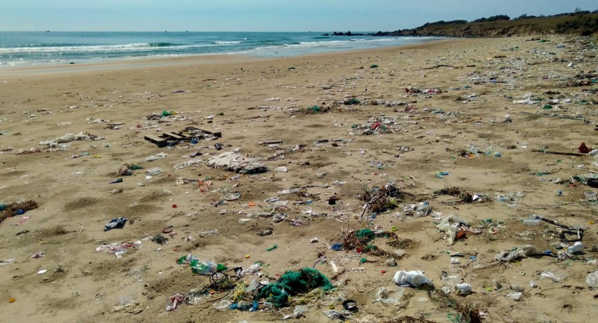 Dzień bez opakowań foliowych. Sprawdź, jak możesz ulżyć naszej planecie