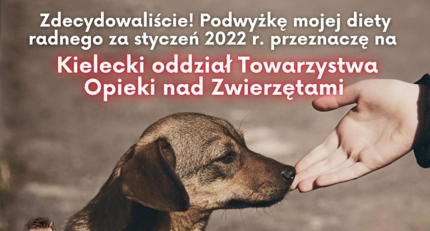 Radny z Kielc przekaże podwyżkę diety na Towarzystwo Opieki nad Zwierzetami – w wyborze pomogli mu internauci