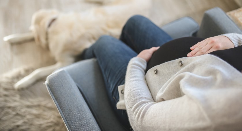 Ciąża najczęstszą przyczyną zwolnień lekarskich – raport ZUS z 2021 roku
