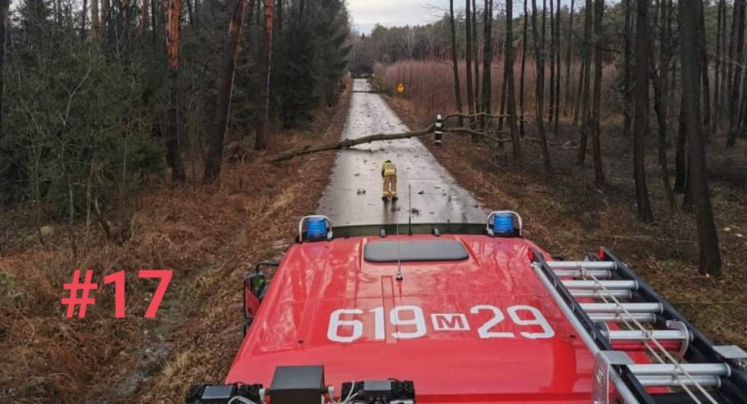 Przewrócone drzewa, zerwane dachy